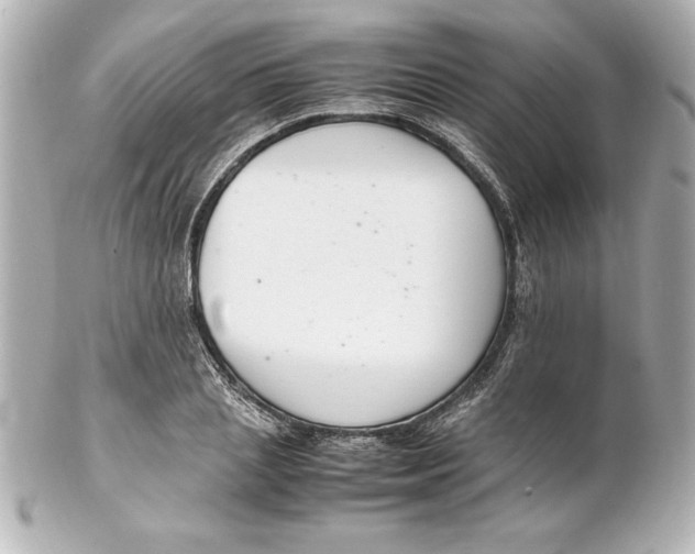 X0000102260837200808151839