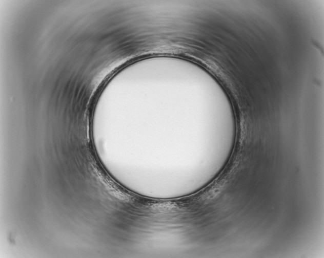 X0000102260838200808151839