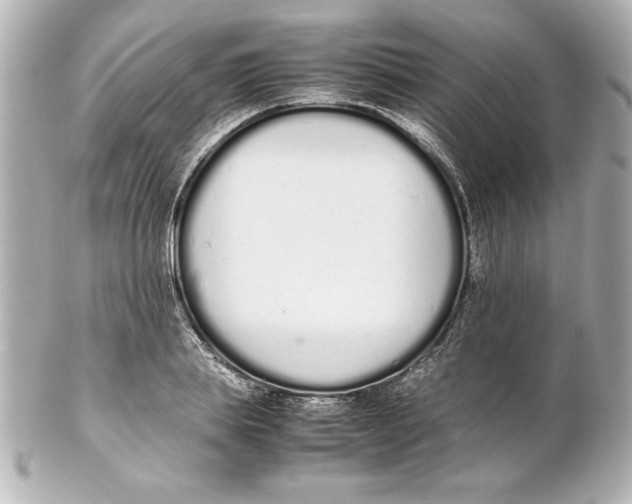 X0000102260839200808151839