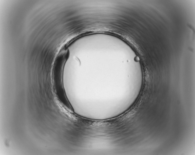 X0000102260840200808151839