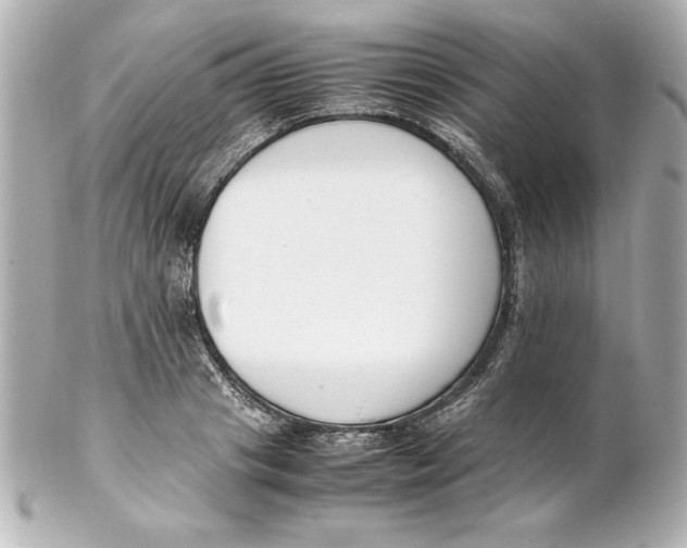 X0000102260841200808151839