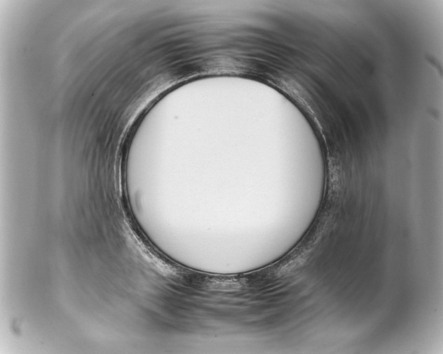 X0000102260843200808151839