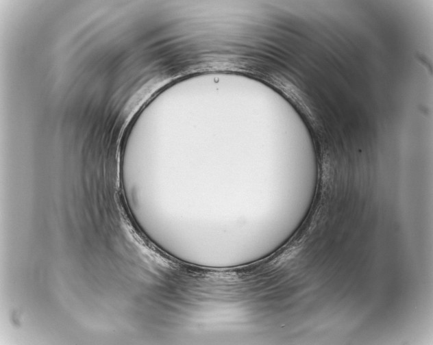 X0000102260844200808151839