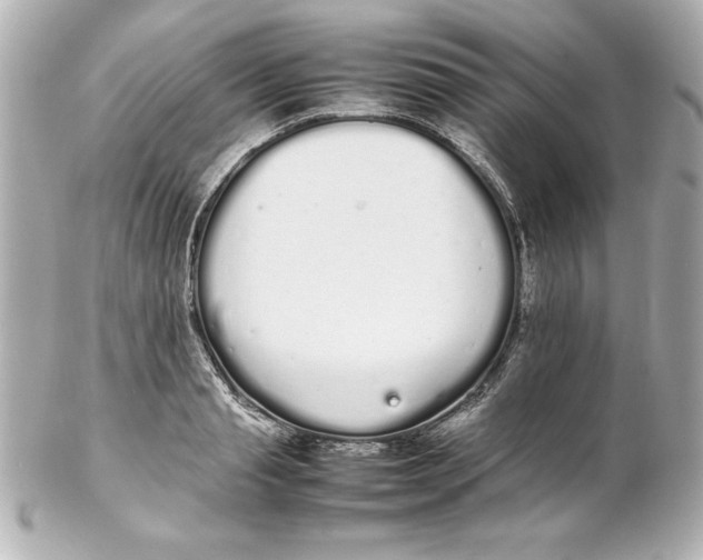 X0000102260845200808151839