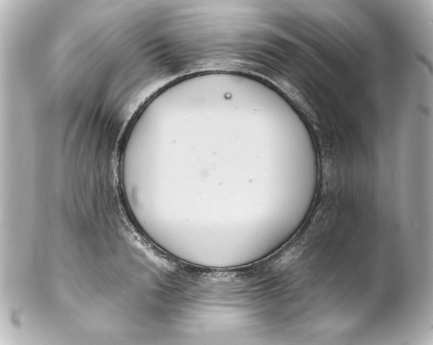 X0000102260846200808151839