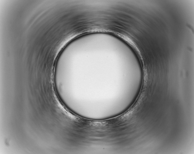 X0000102260847200808151839