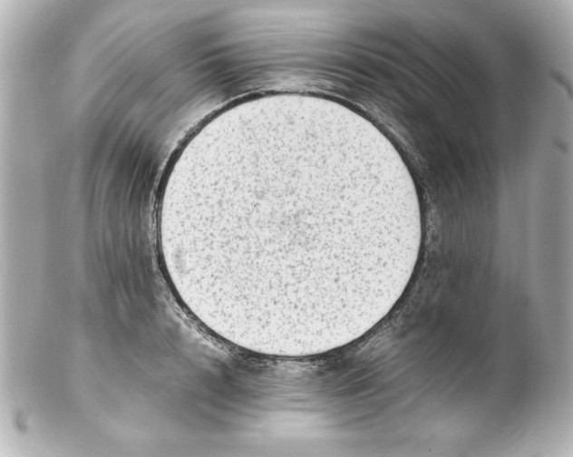 X0000102260848200808151839