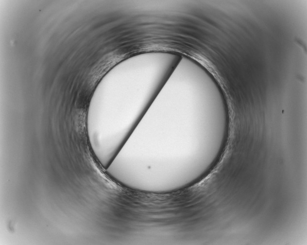 X0000102260849200808151839