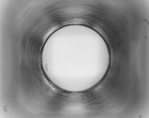 X0000102260850200808151839