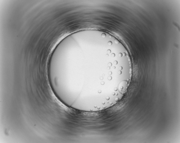 X0000102260851200808151839