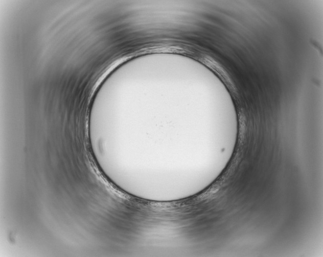 X0000102260852200808151839