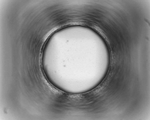 X0000102260853200808151839