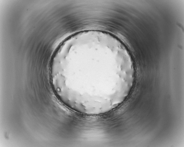 X0000102260854200808151839