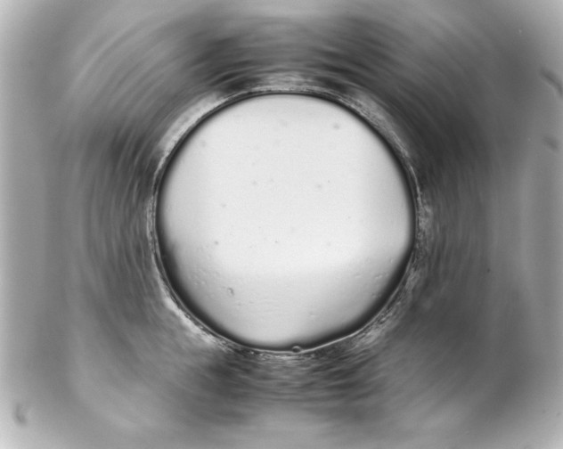 X0000102260855200808151839