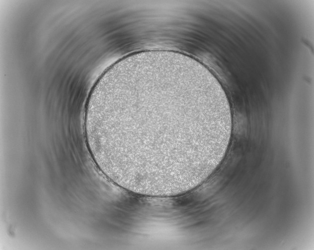 X0000102260856200808151839