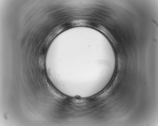 X0000102260857200808151839