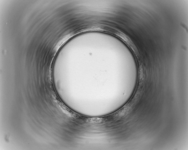 X0000102260858200808151839