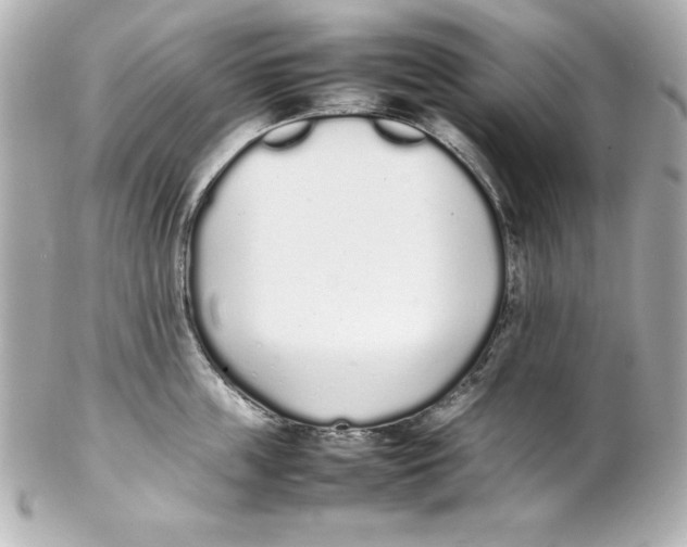 X0000102260859200808151839