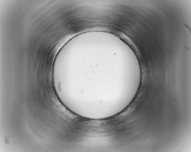 X0000102260860200808151839