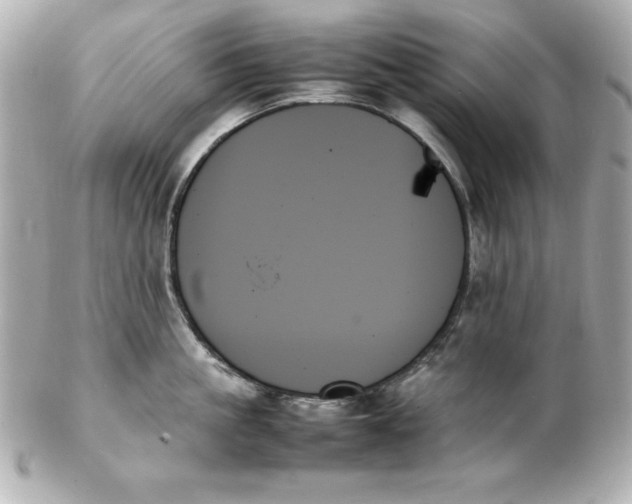 X0000102260861200808151839