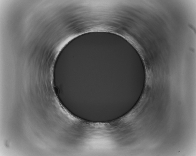 X0000102260862200808151839