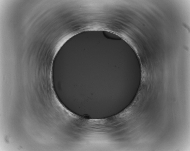 X0000102260863200808151839