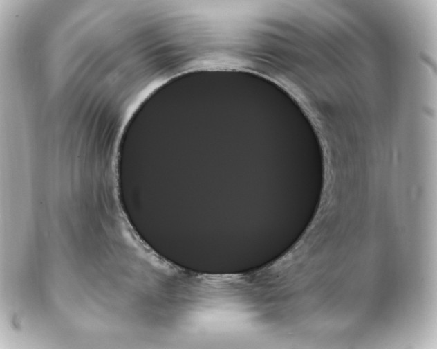 X0000102260864200808151839