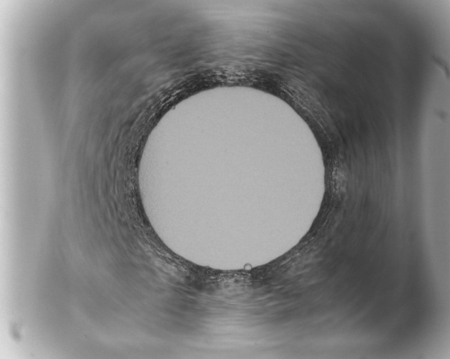 X0000102260865200808151838