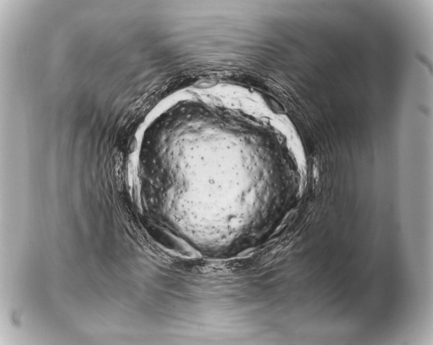 X0000102260867200808151838