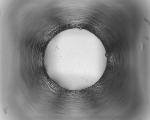 X0000102260868200808151838