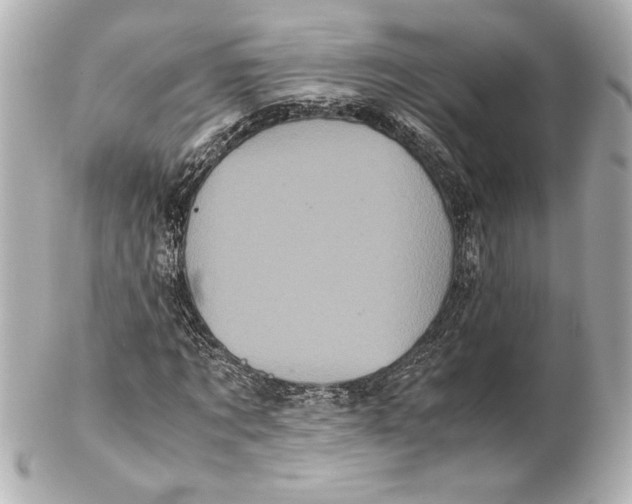 X0000102260869200808151838