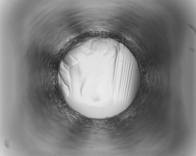 X0000102260870200808151838