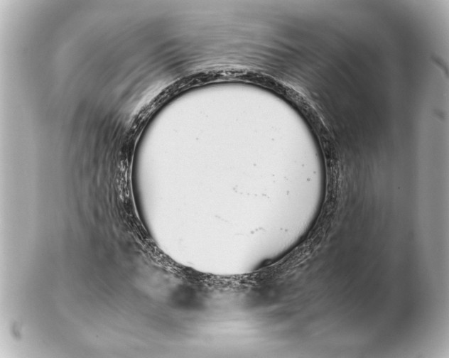 X0000102260871200808151838