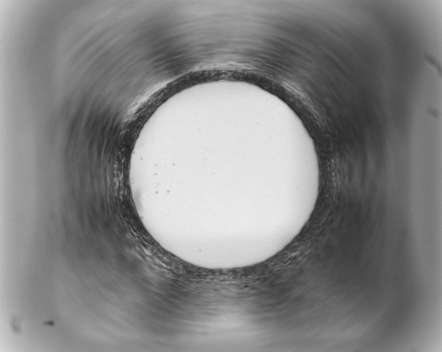 X0000102260872200808151838