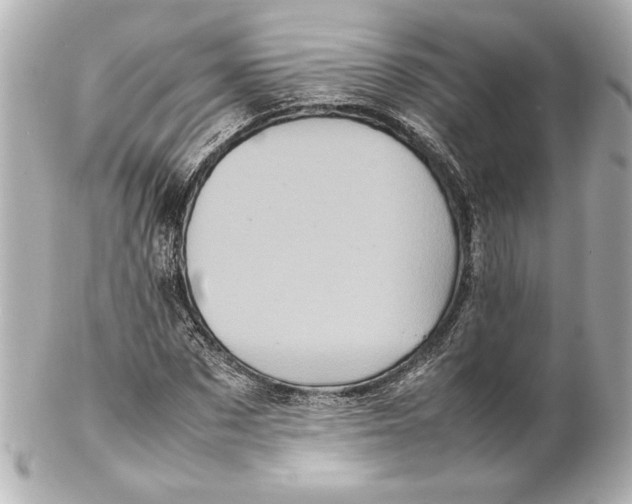 X0000102260873200808151838