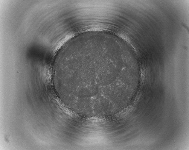 X0000102260874200808151838