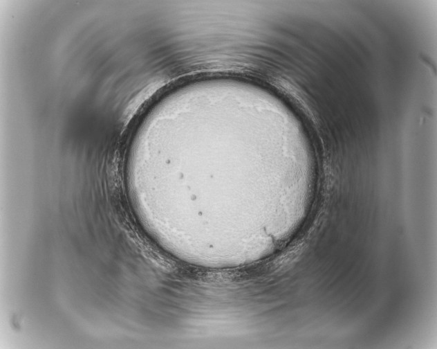 X0000102260875200808151838