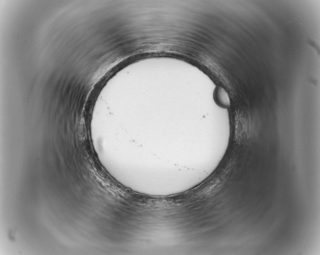 X0000102260876200808151838