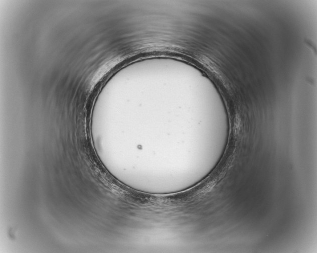 X0000102260877200808151838