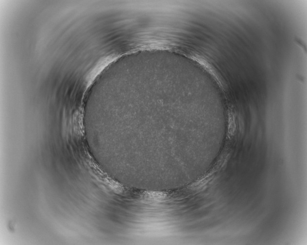 X0000102260878200808151838