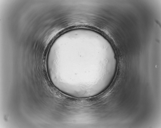 X0000102260879200808151838