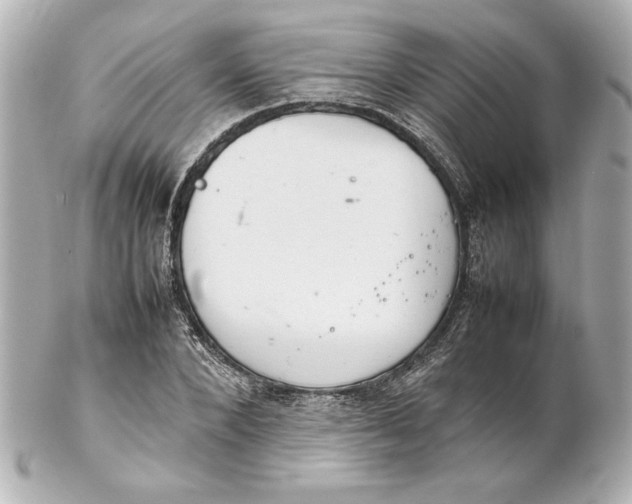 X0000102260880200808151838