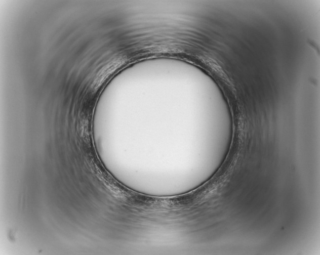 X0000102260881200808151838