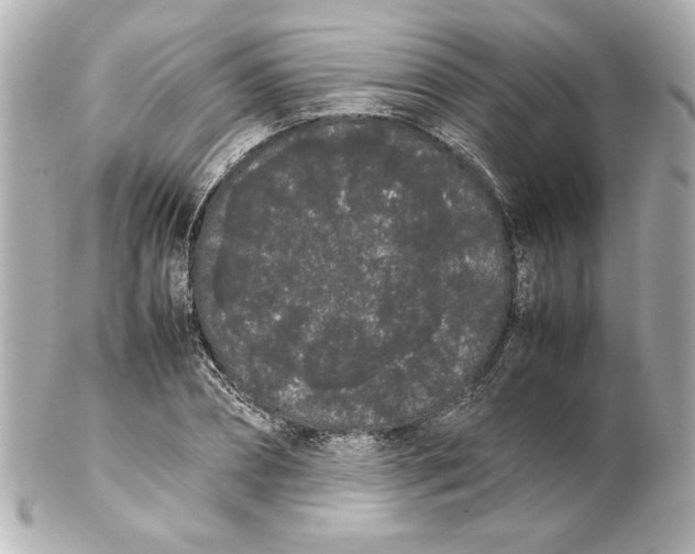 X0000102260882200808151838