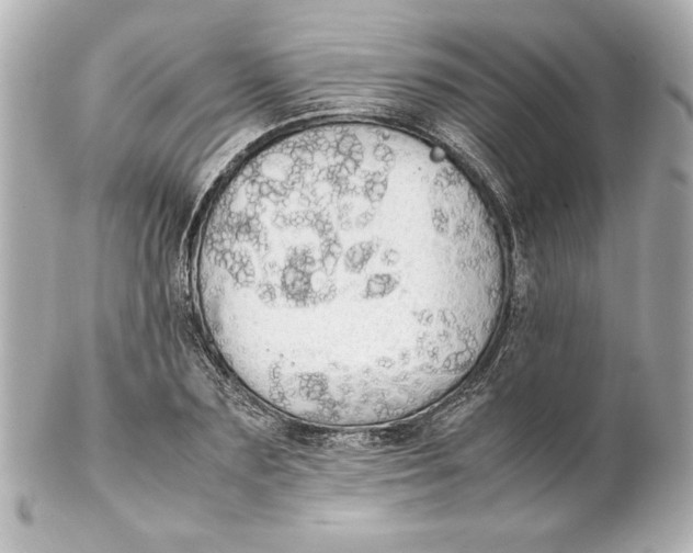 X0000102260883200808151838