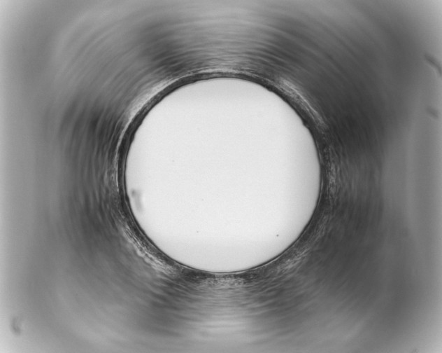 X0000102260884200808151838