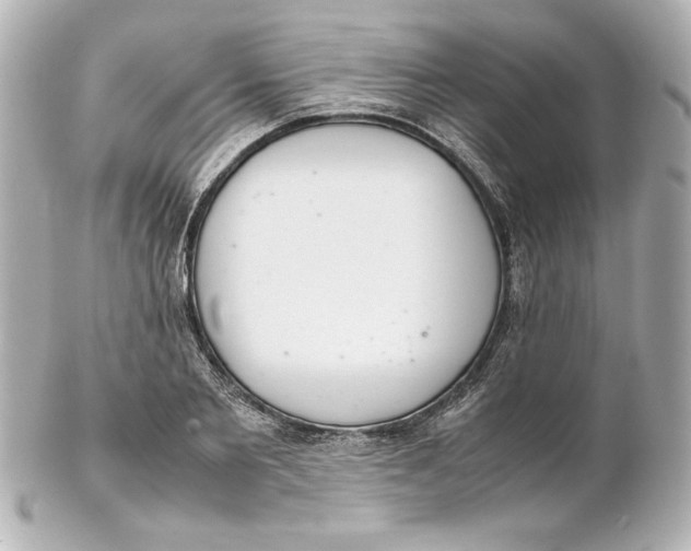 X0000102260885200808151838