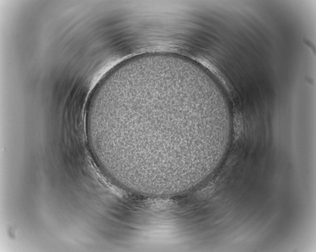 X0000102260886200808151838