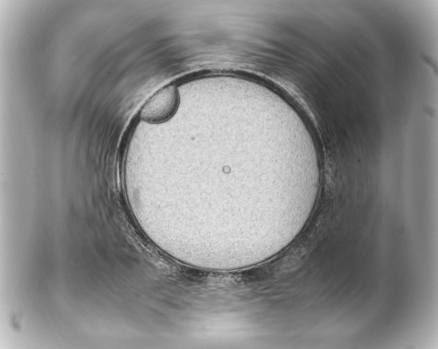 X0000102260887200808151838