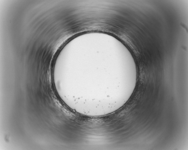 X0000102260888200808151838